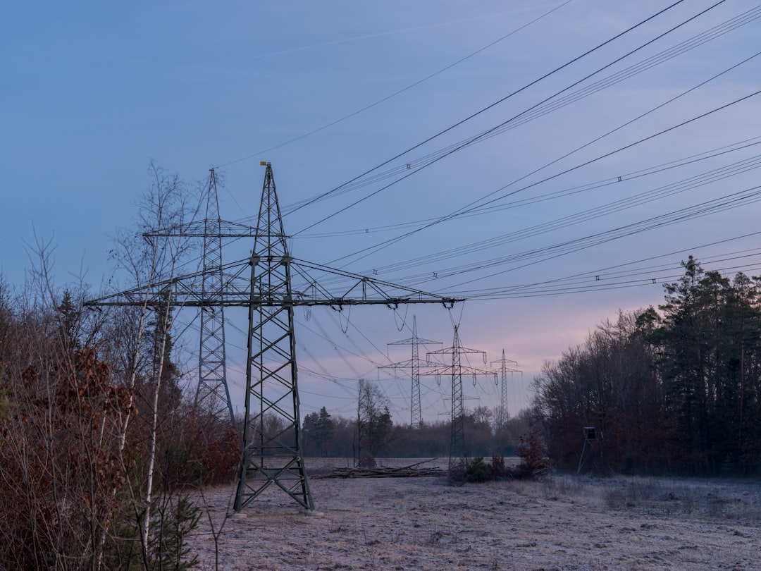 Power lines stretch across a frosty, wooded landscape at dusk.