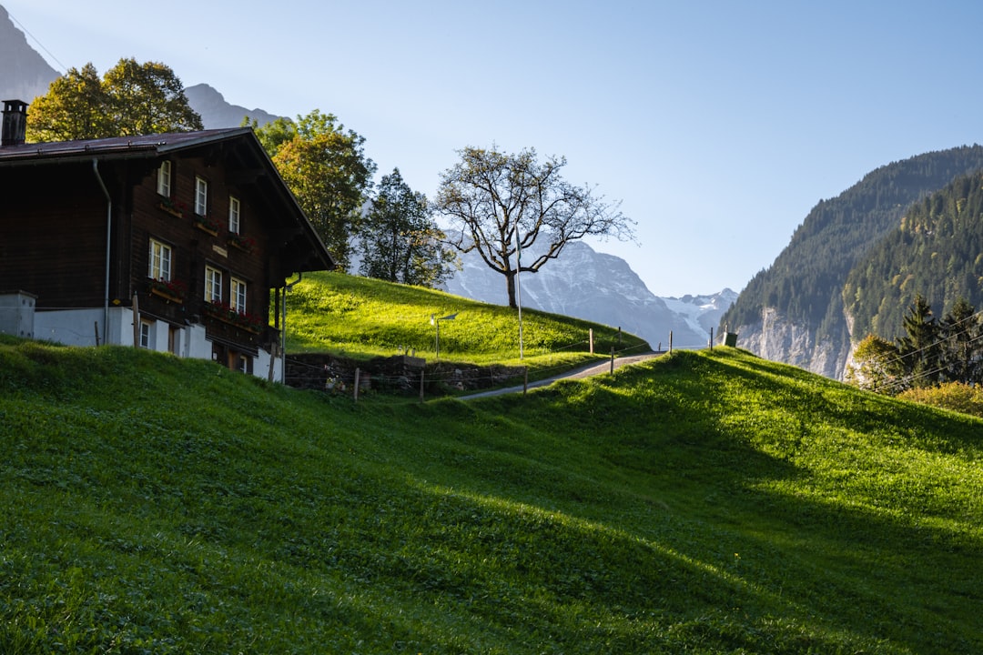 a house on a grassy hill with mountains in the background